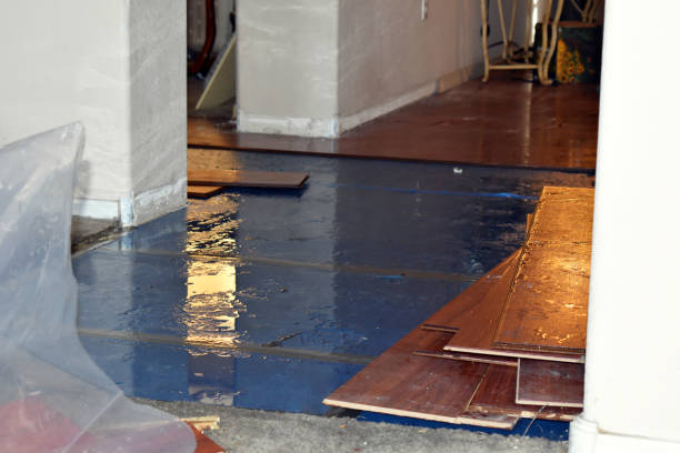 Professional Basement Flood Cleanup technician working in Bowie, AZ